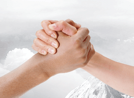 專業(yè)的寫手團隊